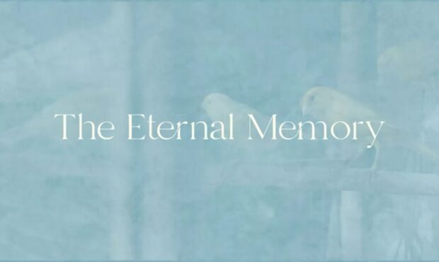 The Eternal Memory: سفری به اعماق حافظه و قلب