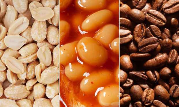 ۹ خوراکی شگفت‌انگیز پرفیبر برای رژیم سالم‌تر