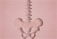 هفت اقدام هفتگی برای تقویت استخوان‌های بدن