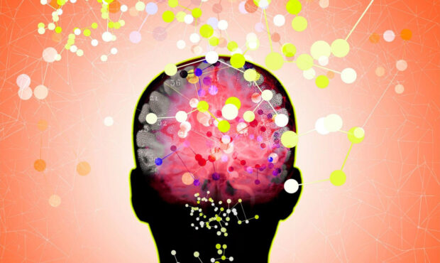 کشف مکمل ساده و جدید با توان کندکردن آلزایمر کشف مکمل ساده و جدید با توان کندکردن آلزایمر