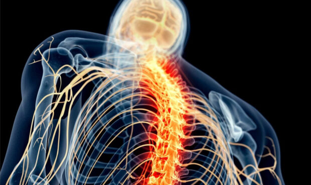کشف راه توقف درد، بدون اختلال در بهبود